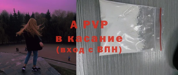 стафф Осинники