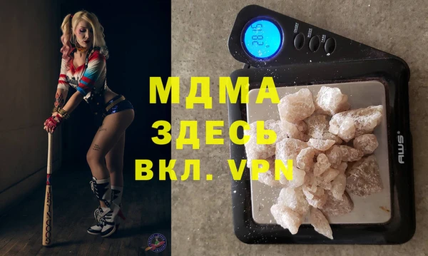 шишки Гусев